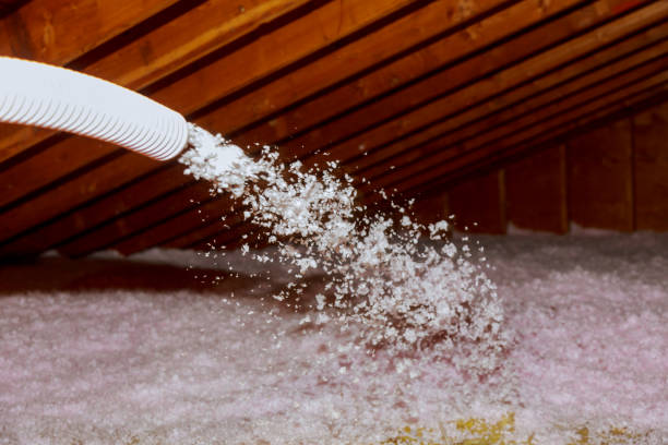 Best Insulation Installation Services in Terre Du Lac, MO