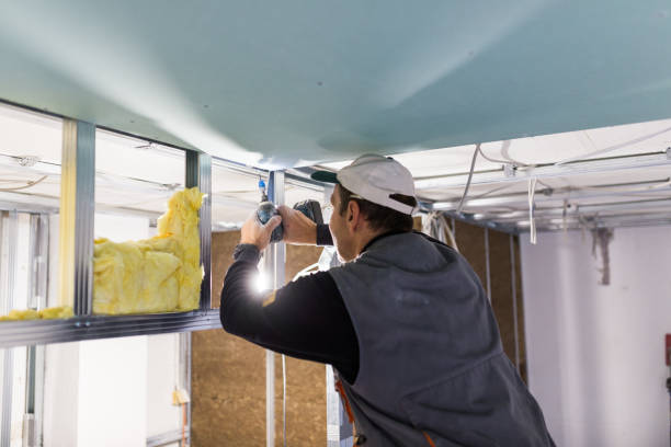 Best Insulation for Specific Applications in Terre Du Lac, MO