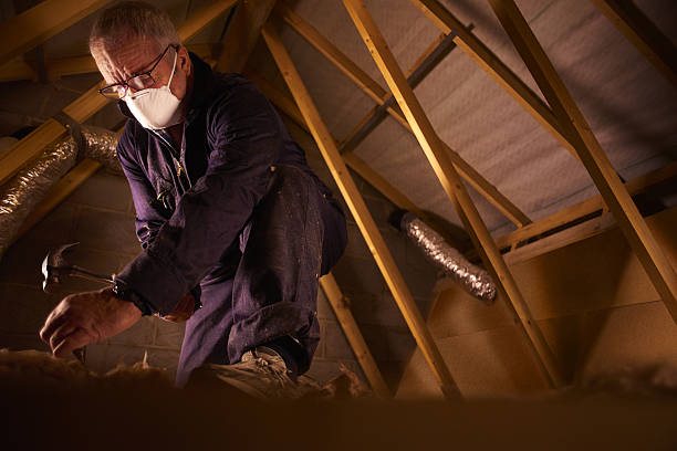 Best Insulation Maintenance and Repair in Terre Du Lac, MO